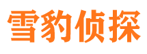 邵东找人公司